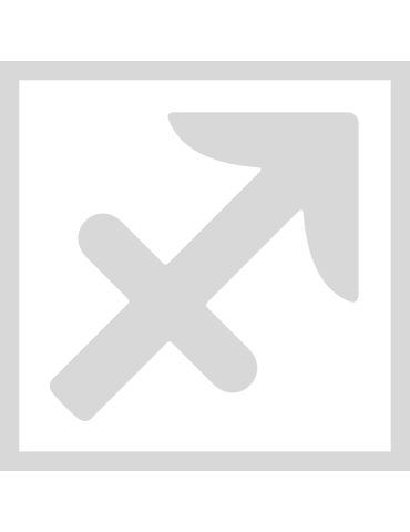 Stencil Boogschutter