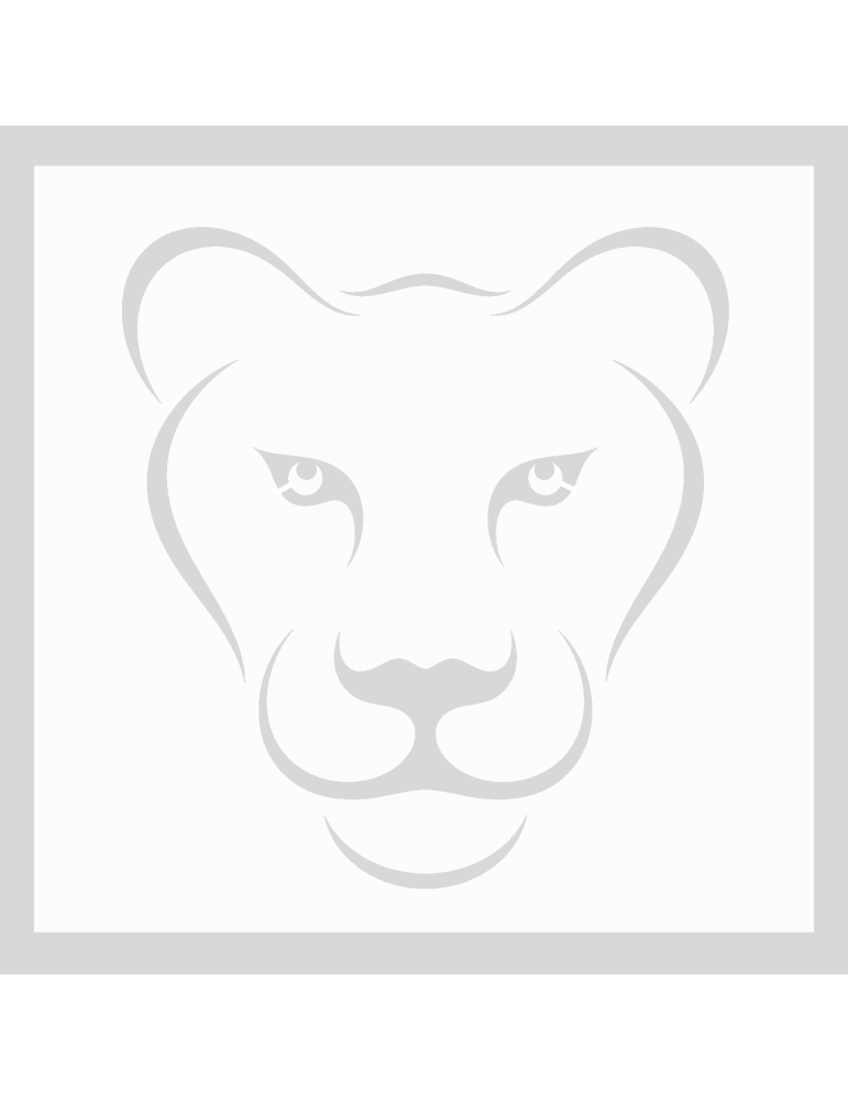 Stencil Lioness