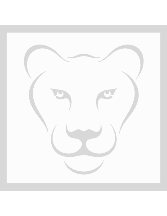 Stencil Lioness