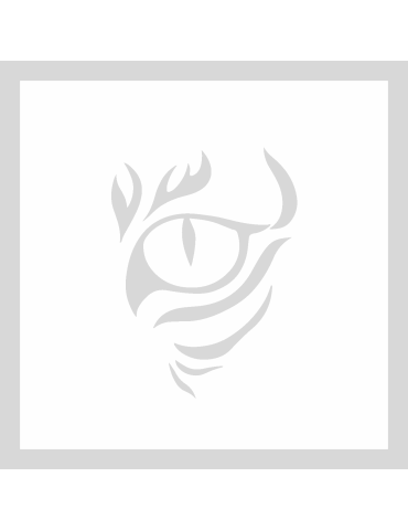 Stencil Eye of the tiger