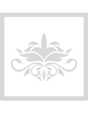 Stencil Vintage Floral Ornament