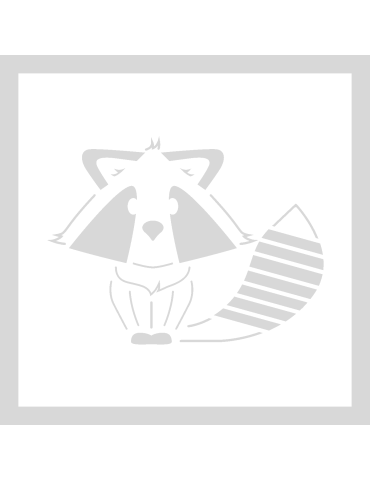 Stencil Cute Racoon