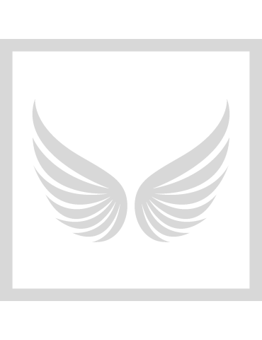 Stencil Angel Wings