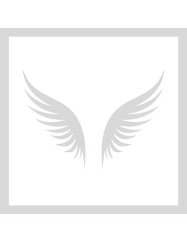 Stencil Angel Wings