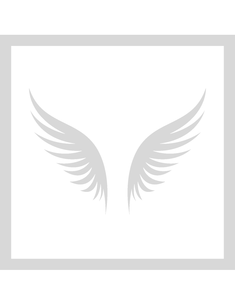 Stencil Angel Wings