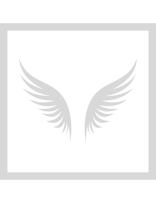 Stencil Angel Wings