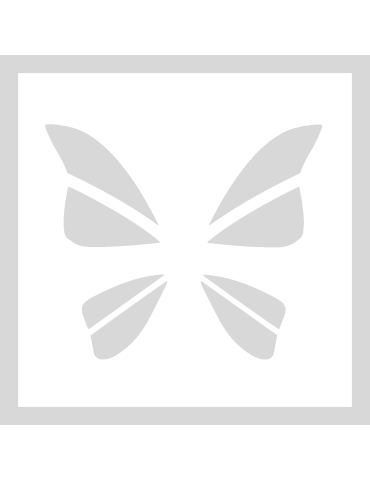 Stencil Butterfly