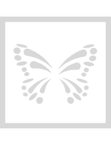 Stencil Butterfly