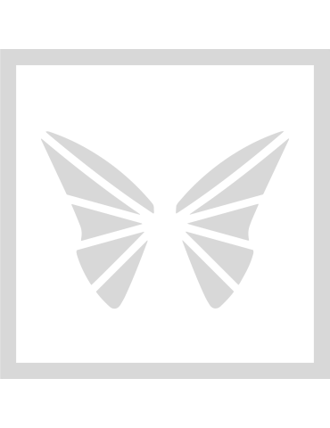 Stencil Butterfly