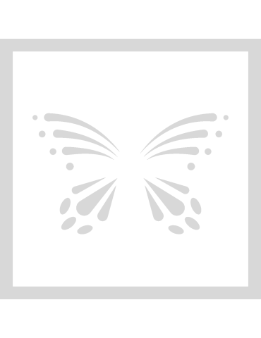Stencil Butterfly